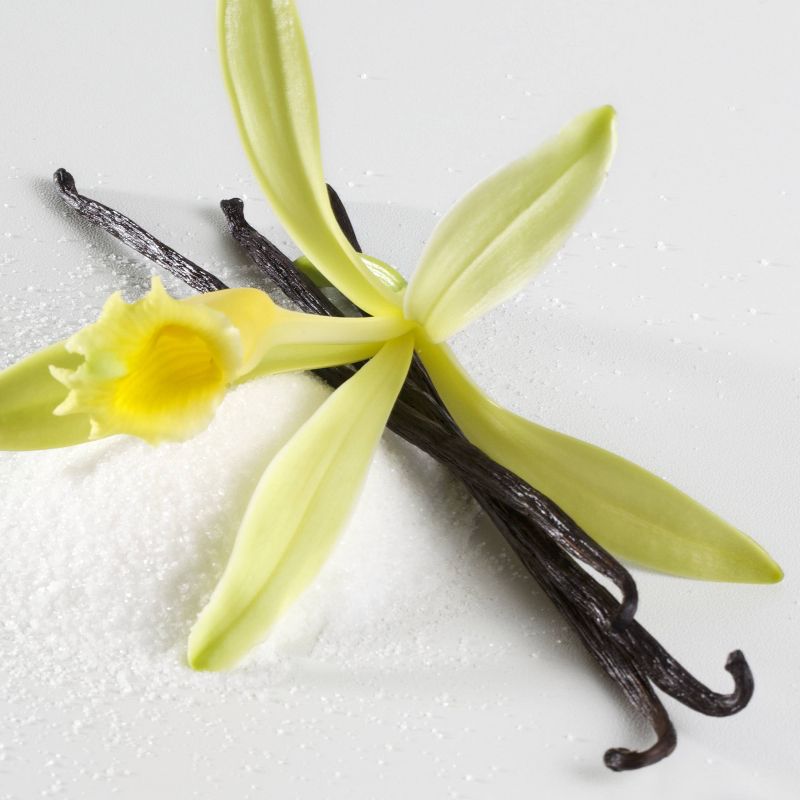 Ariana Grande Ari Women's Fragrance Gift Set - 2pc