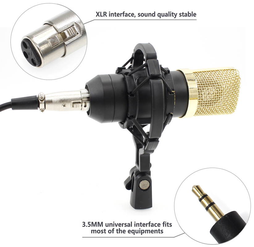BM700 XLR Microphone Kit Professional Cardioid Studio Condenser Mic for Streaming Podcasting Gaming Vocal Recording
