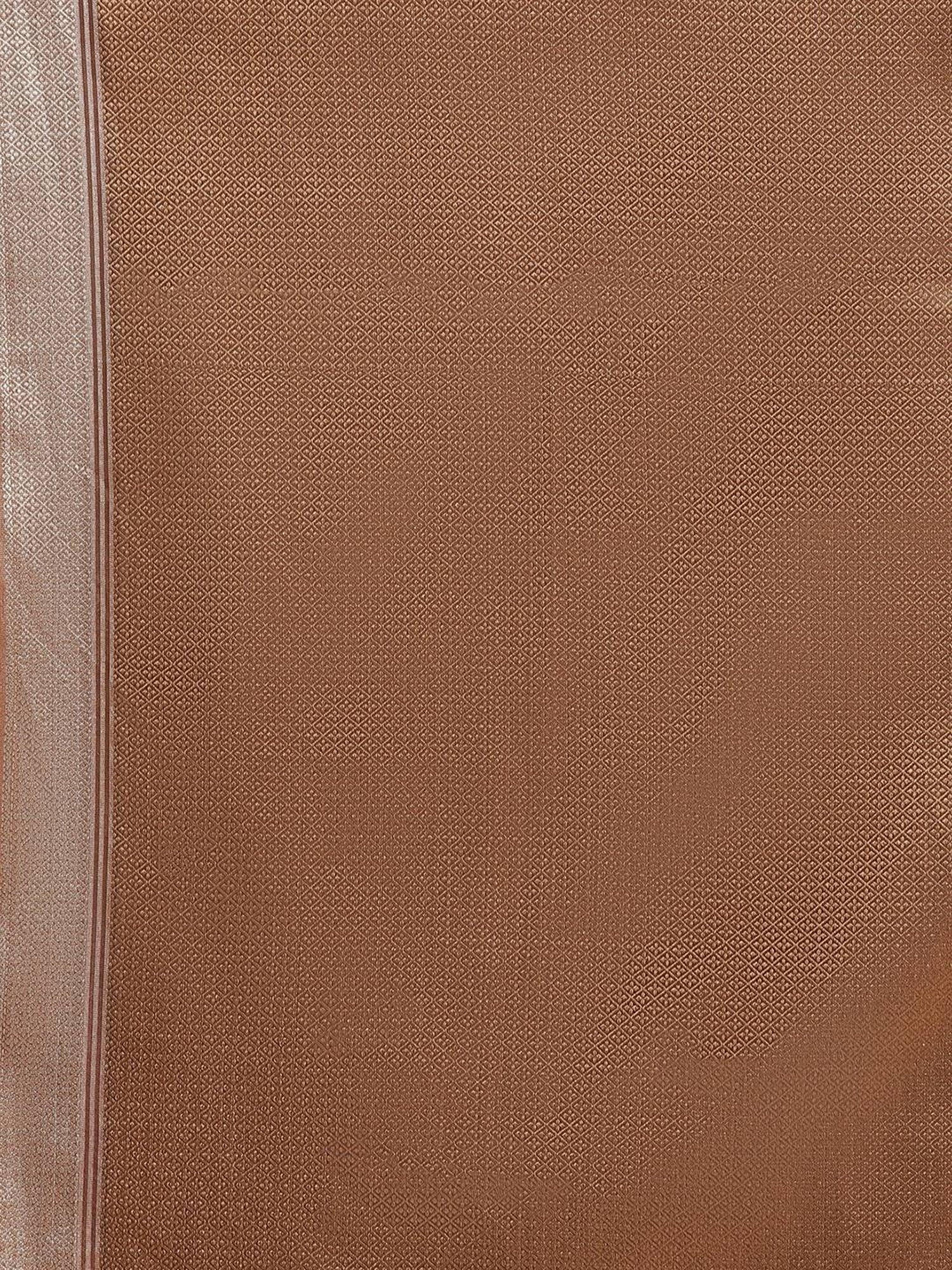 Banarasi Silk Works Grey Woven Saree with Blouse