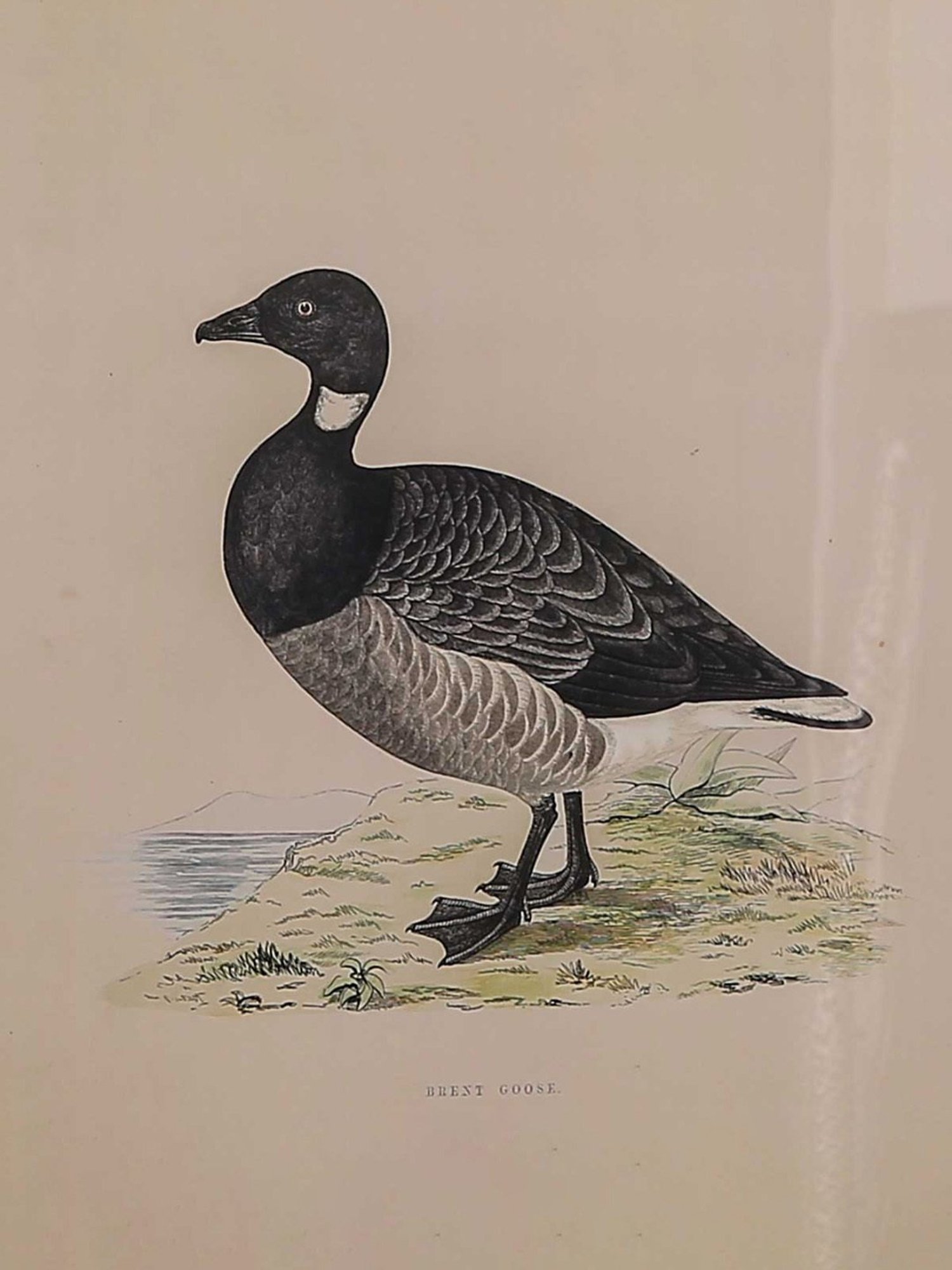 Home4U Cfo 140064 Multicolor Ceramic Wall Art