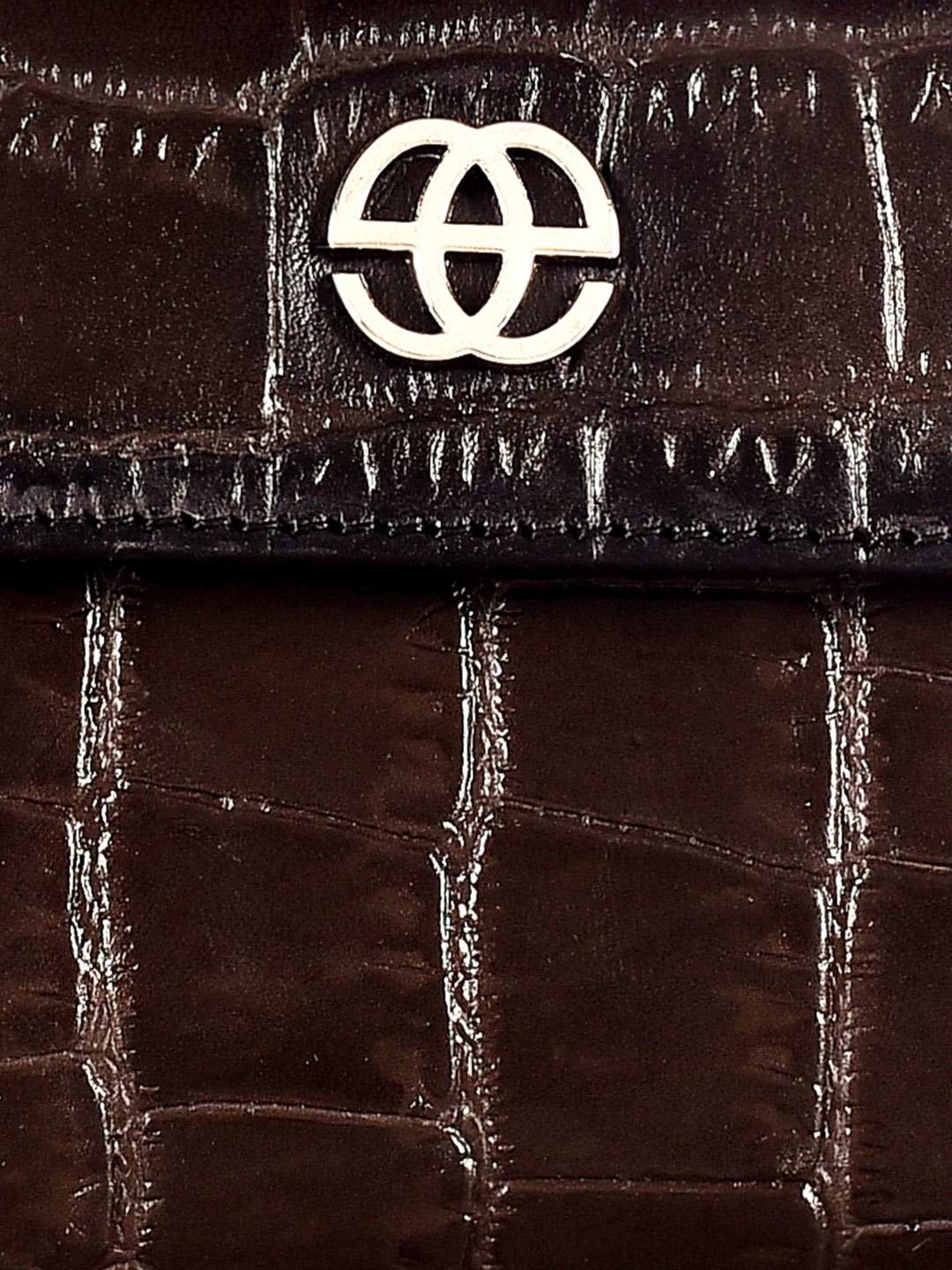 Eske Eva Dark Brown Textured Zip Around Wallet for Women