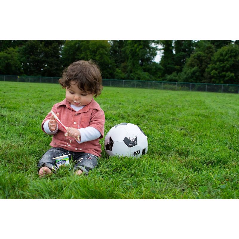 Stonyfield Organic YoBaby Pear & Peach Whole Milk Kids' Probiotic Yogurt - 6ct/4oz Cups