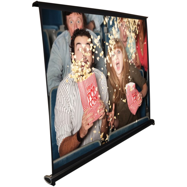 Retractable Pull-out-Style Manual Projector Screen (40 In.)