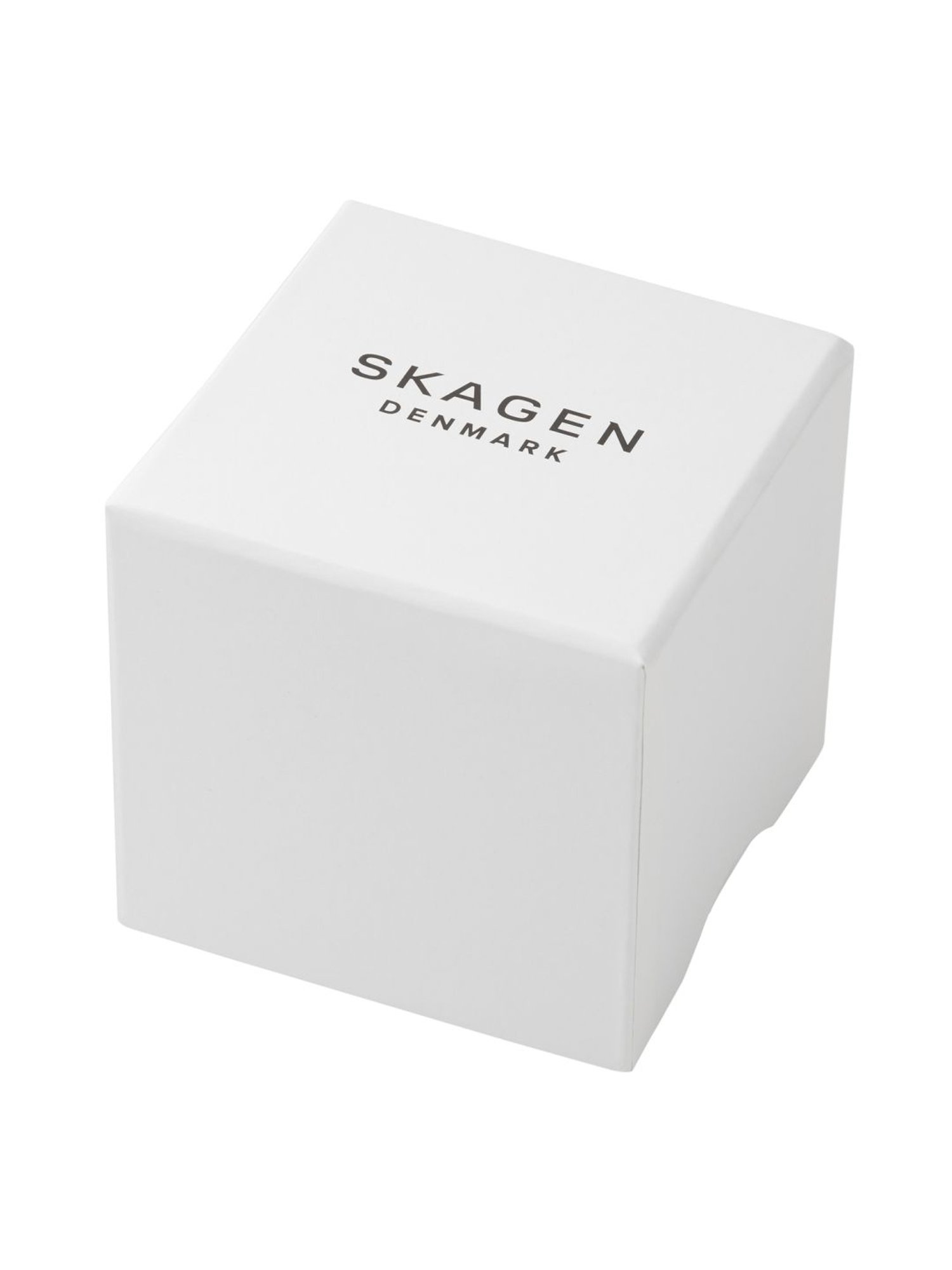 Skagen SKW3000 Ryle Analog Watch for Women