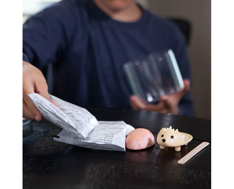  Fat Brain Toys Crystal Growing Hedgehog - Pink FB292-5