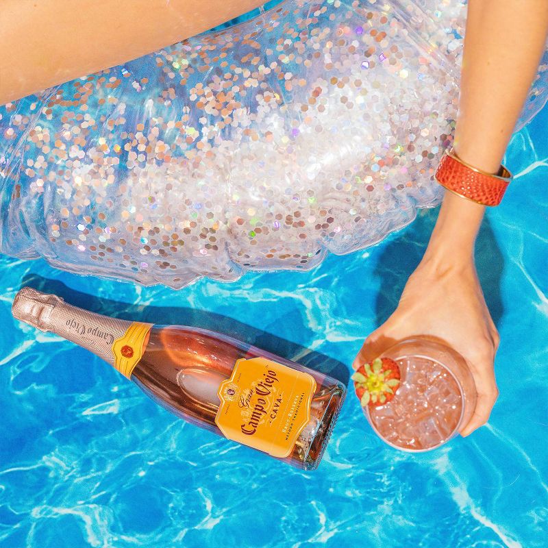 Campo Viejo Brut-Reserva Cava Sparkling Wine - 750ml Bottle