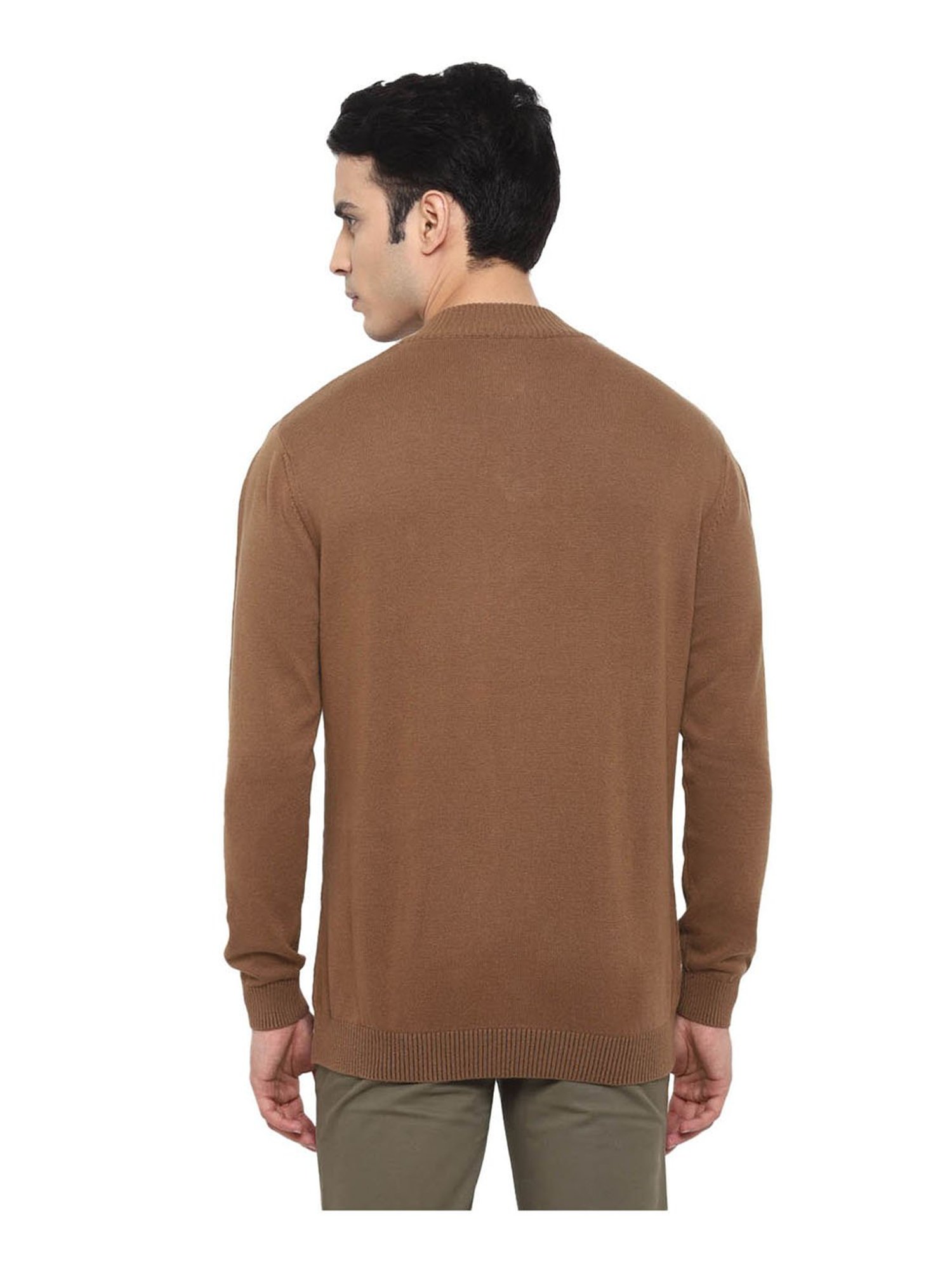 Turtle Brown Regular Fit Pullover