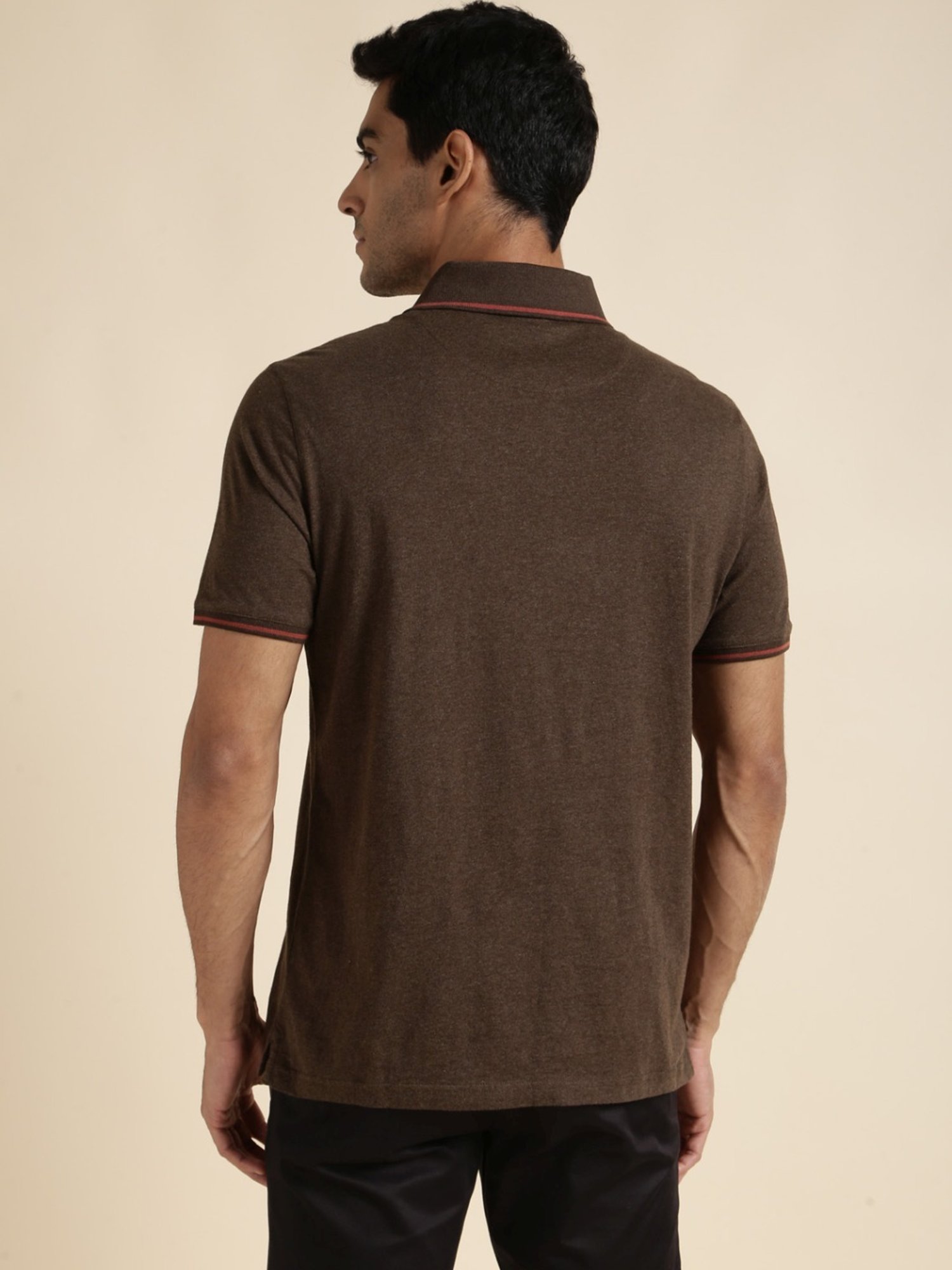 Andamen Brown Regular Fit Polo T-Shirt