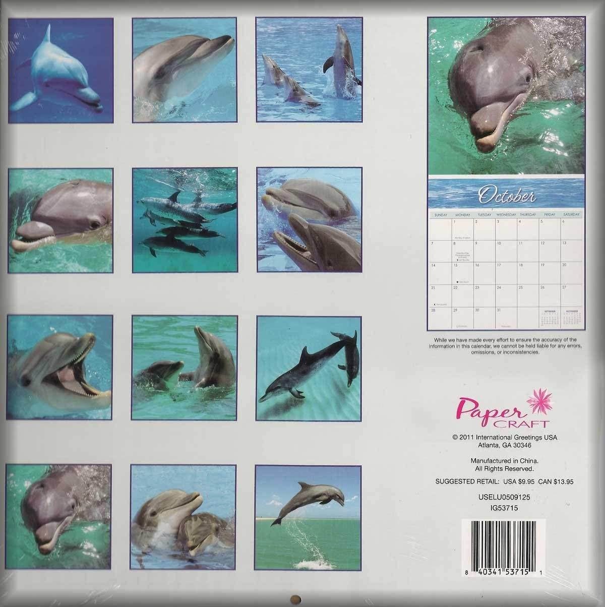 2012 Dolphins Wall Calendar