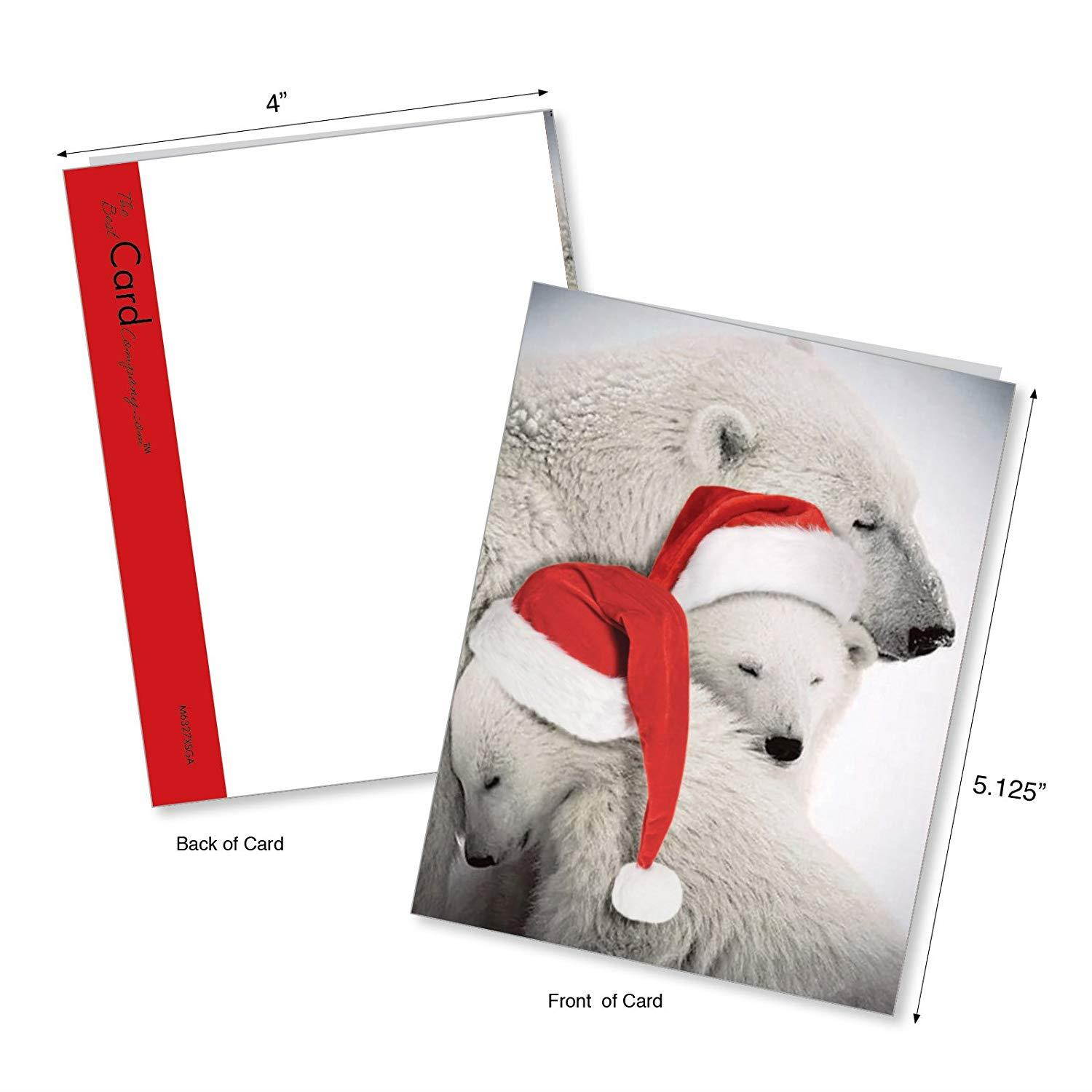 Bear Hugs: 10 Assorted Christmas Greeting Cards Santa's Hat and Lovable Polar Bears Cuddling, with Envelopes. AM6327XSG-B1x10