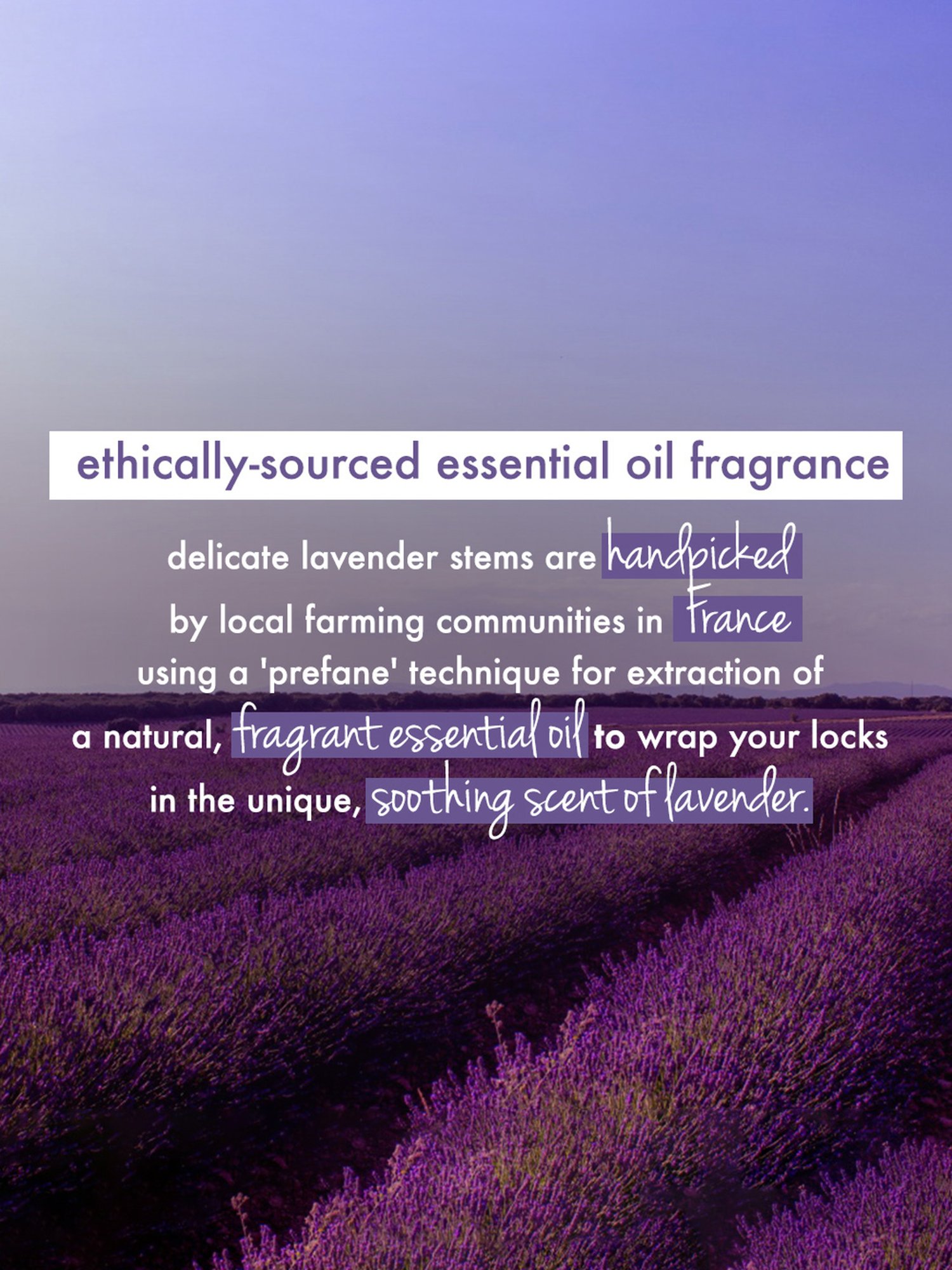 Love Beauty & Planet Organic Argan Oil & Lavender Hair Serum for Frizz Free Hair - 50 ml