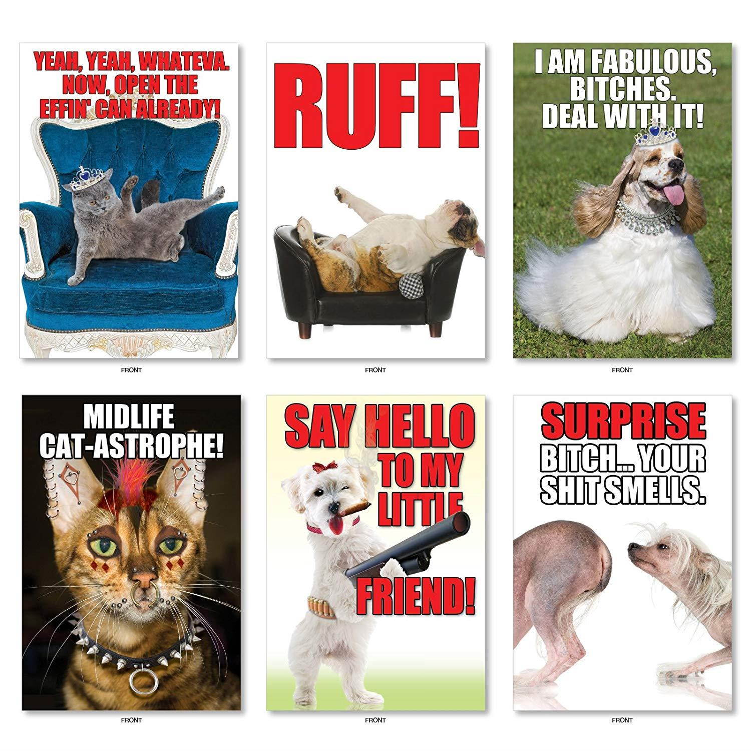 Best Pets Collection': 36 Assorted All Occasions Card With adorable, funny images of cats and dogs, with Envelopes (36 Designs, 1 Card Per Design). AC6654OCB-B1x36