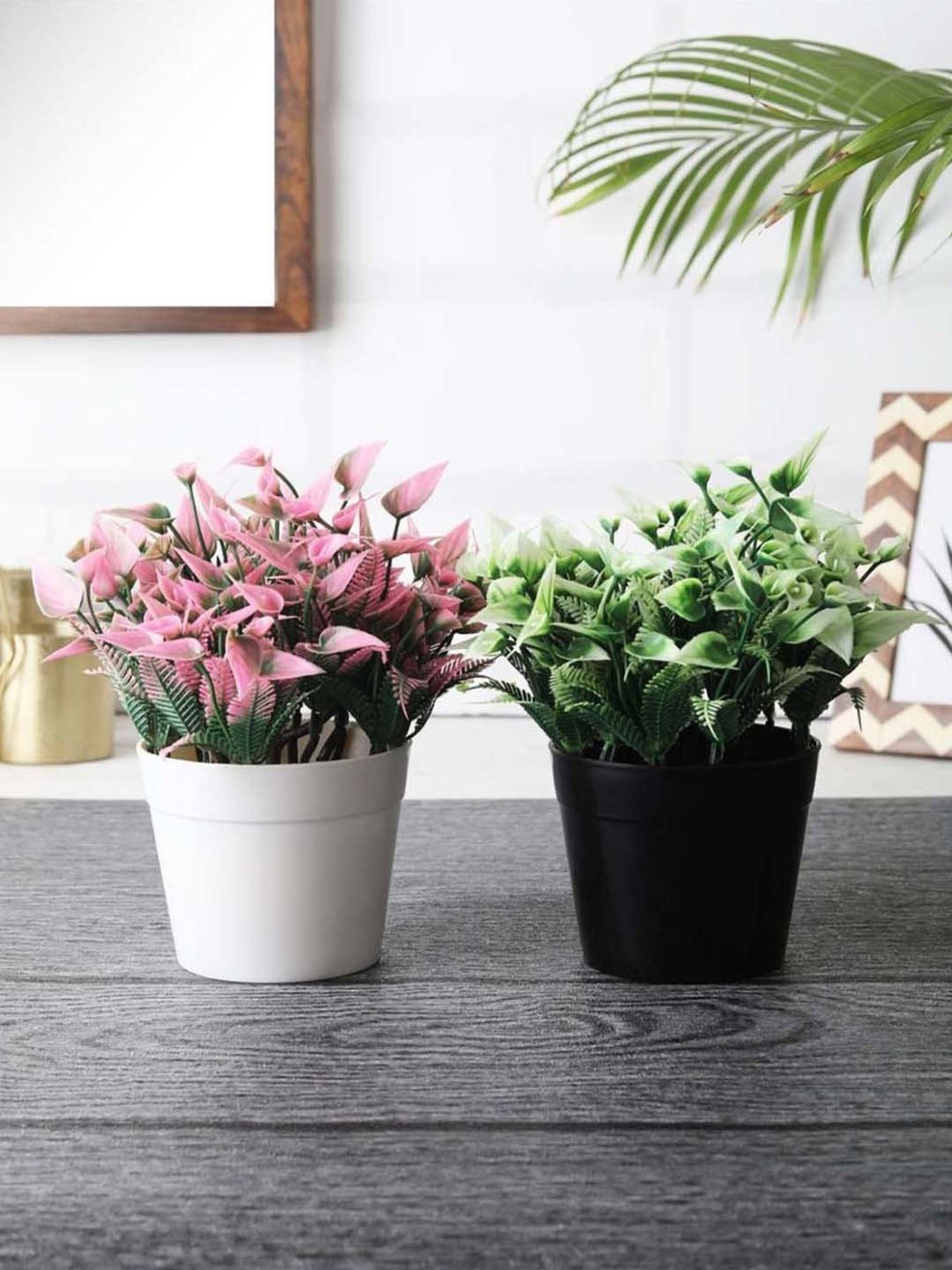 Foliyaj Multicolor Plastic Artificial Plant - Set of 2