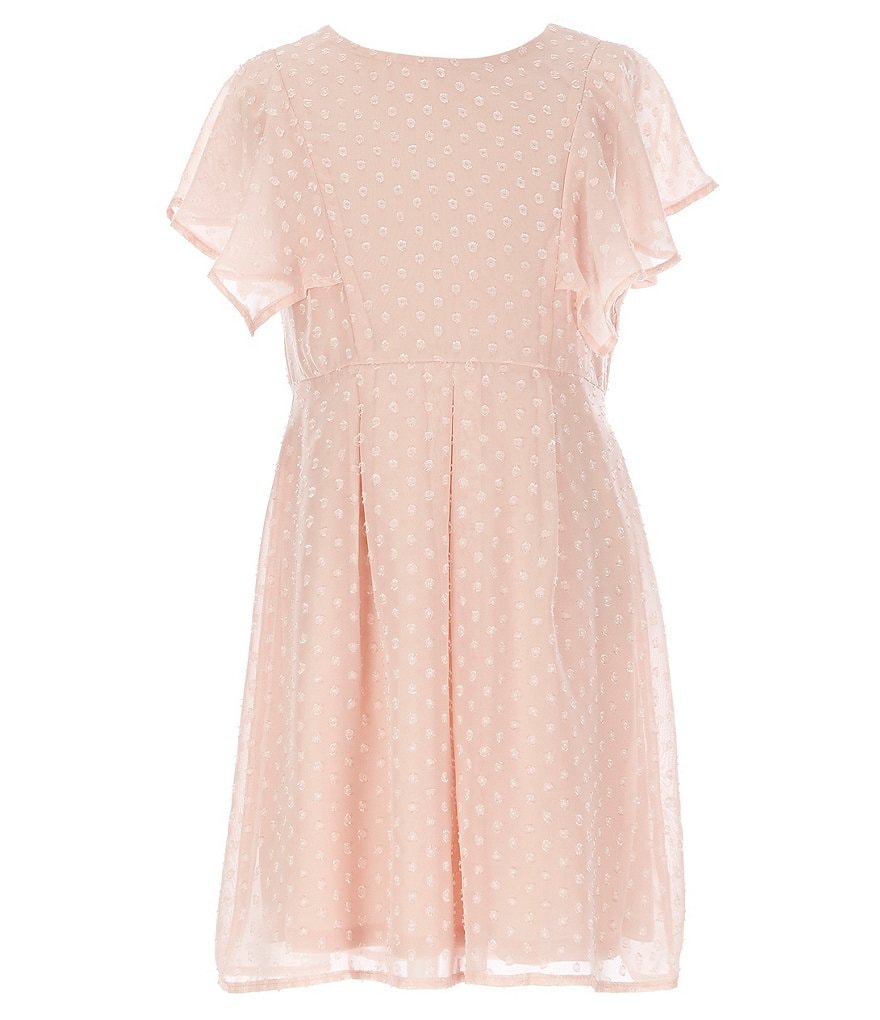 Poppies and Roses Big Girls 7-16 Swiss-Dot Fit-And-Flare Dress