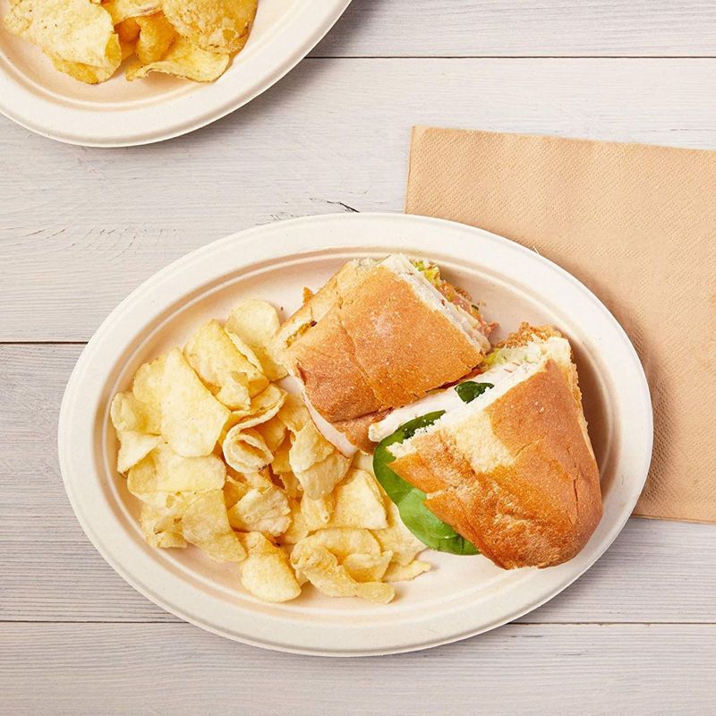 Okuna Outpost 50 Pack Sugarcane Bagasse Disposable Plates, Dinnerware for Birthday Party(10 x 8 In)