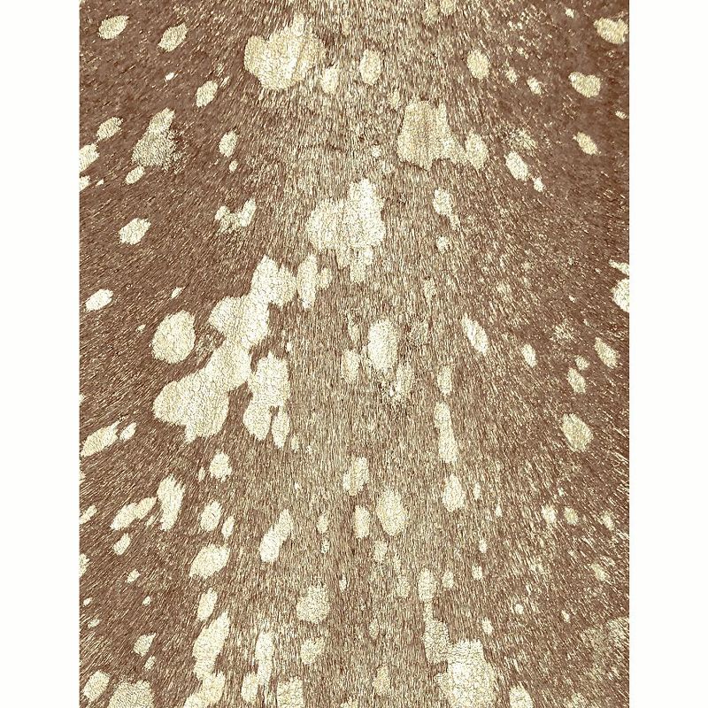 5'x7' novelty Area Rug Beige - DEERLUX