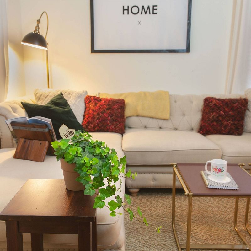 Wild Interiors 5" Ivy Foliage in Terra Cotta