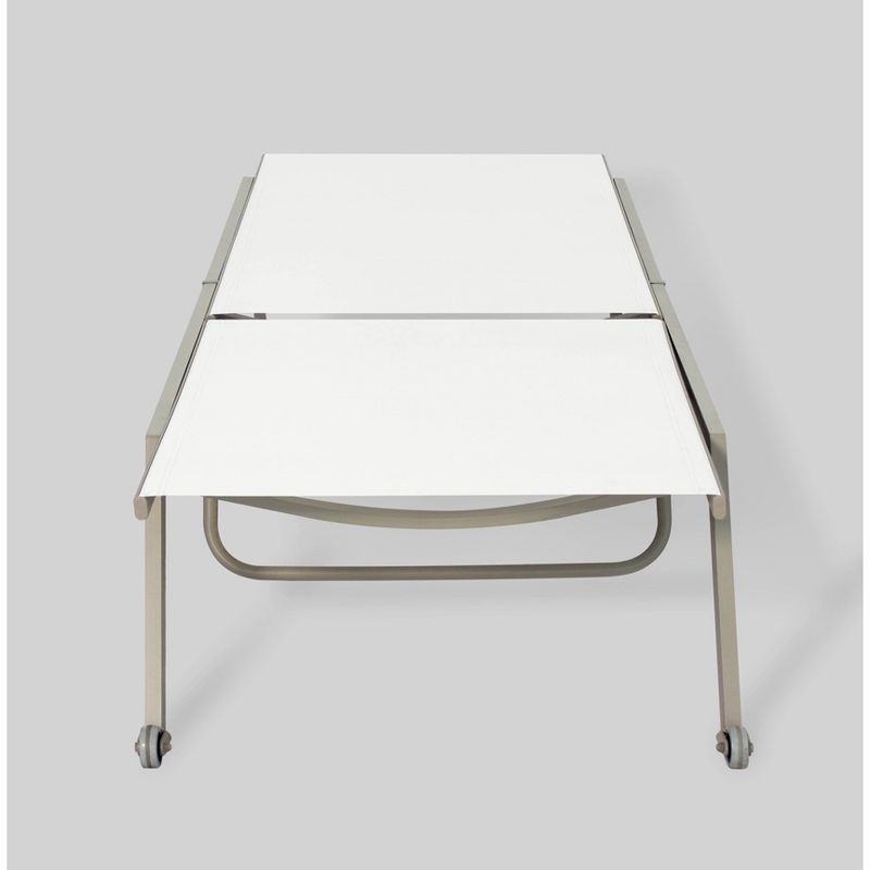 Princeton 2pk Outdoor Chaise Lounges - Ostrich