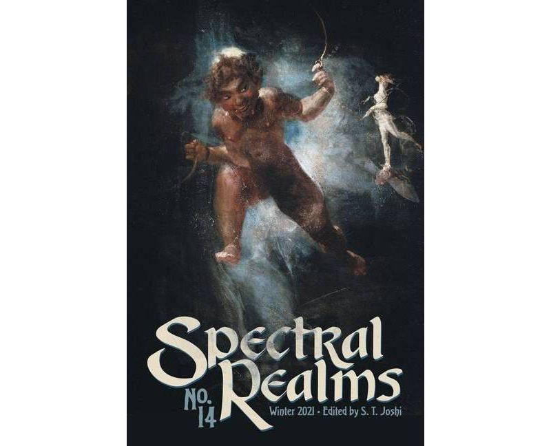 Spectral Realms No. 14 - by  S T Joshi (Paperback)
