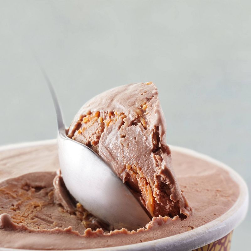 Haagen Dazs Chocolate Peanut Butter Ice Cream - 14oz