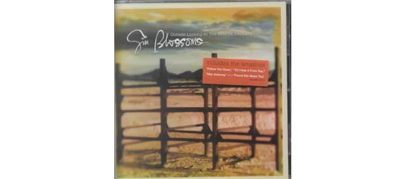 Gin Blossoms - Outside Looking In: The Best Of (CD)