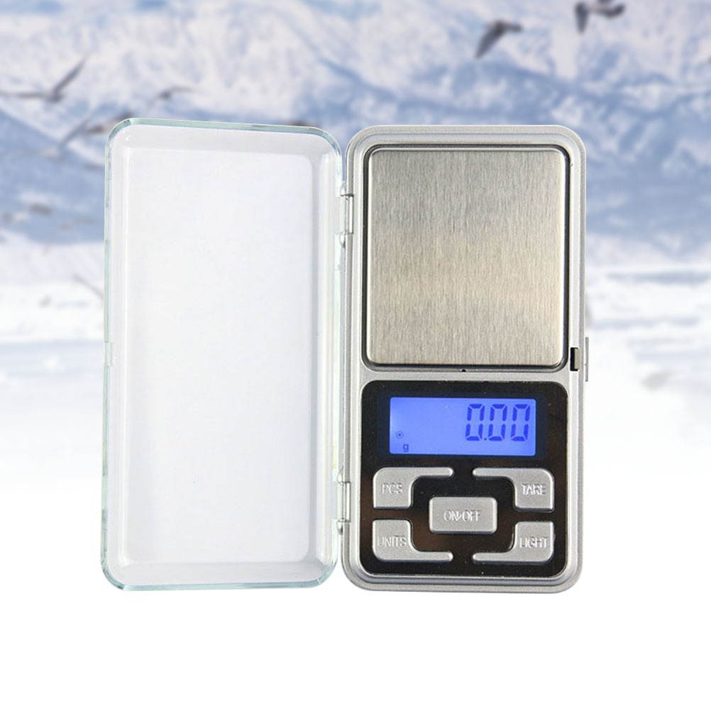 Electronic Pocket Scale 500G/0.1G Precision Jewelry Scale Balance for Diamonds and Gram Weight