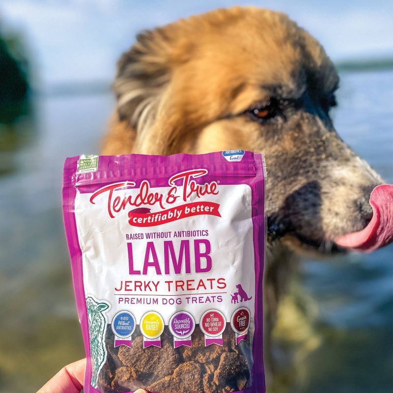 Tender & True Lamb Recipe Jerky Dog Treats - 4oz