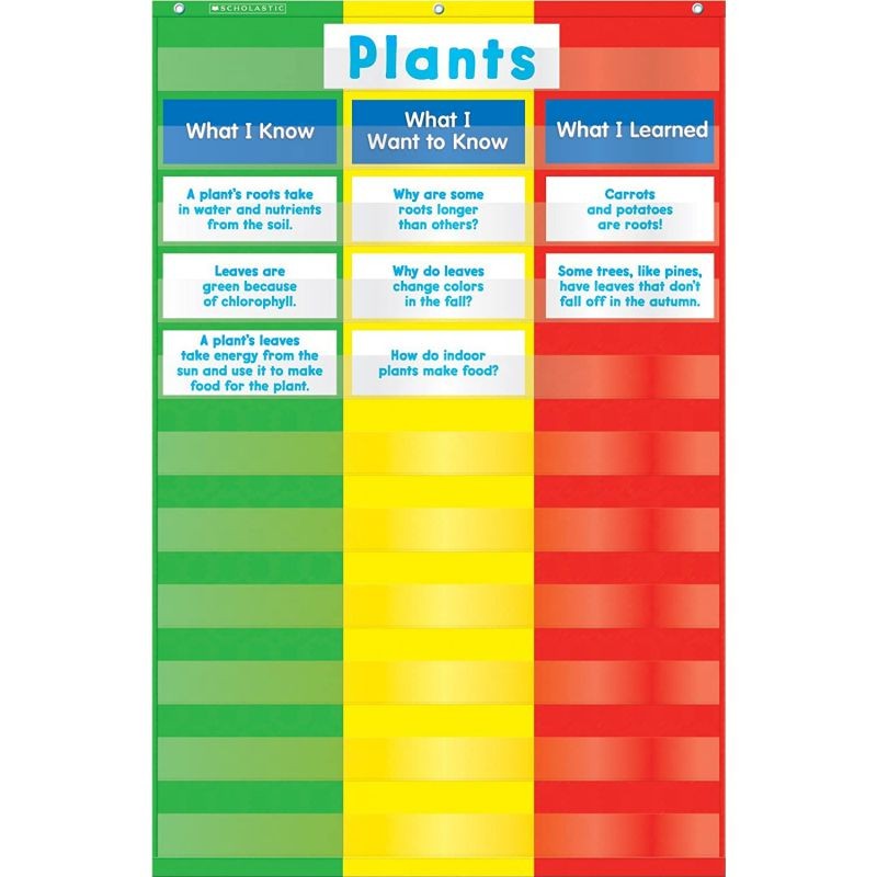 Scholastic Teachers Friend 3-Column Chart Pocket Chart, Multiple Colors (TF5114)