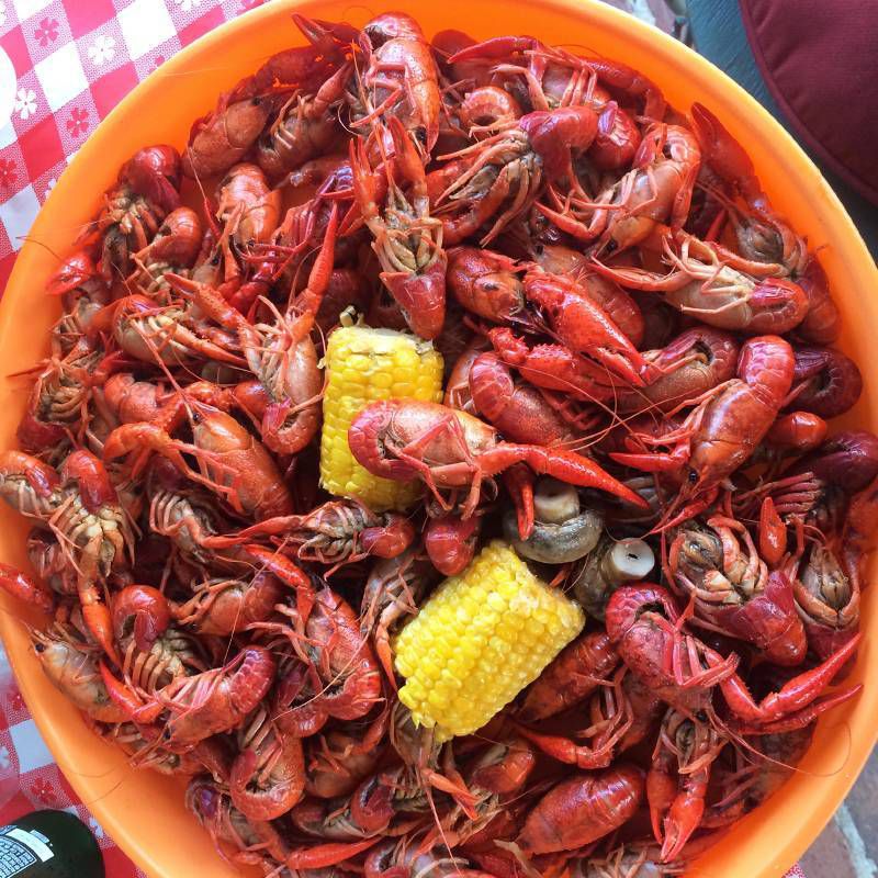 Zatarain's Liquid Shrimp & Crab Boil Garlic & Onion 8oz