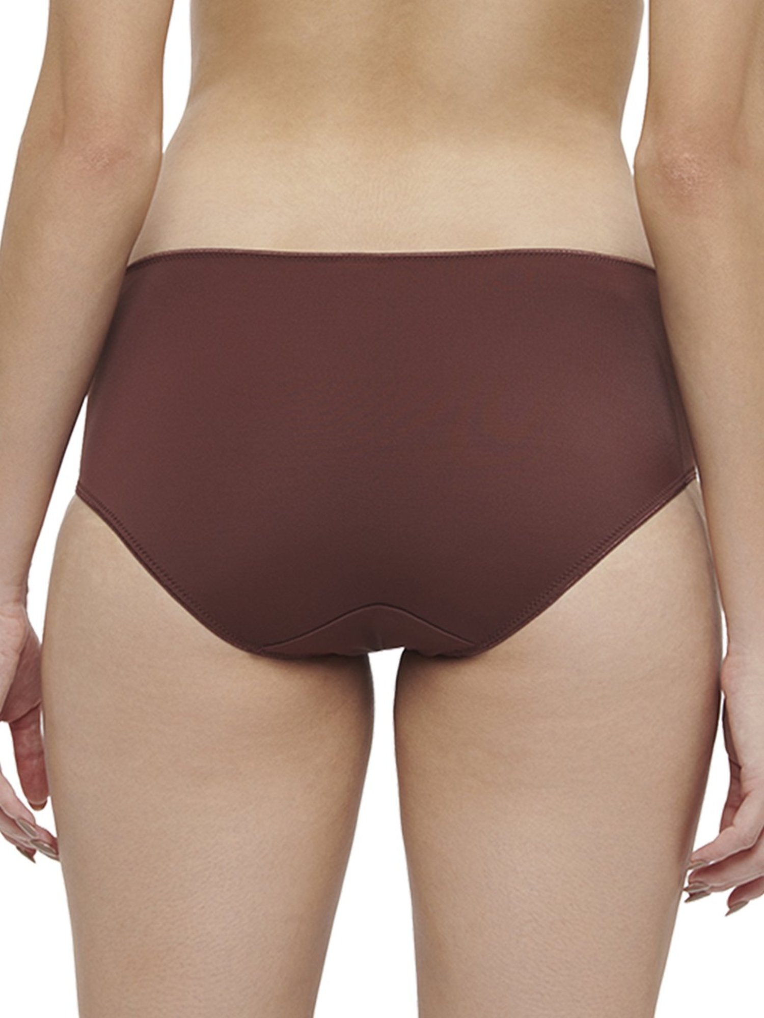 Triumph Brown Lace Work Hipster Panty