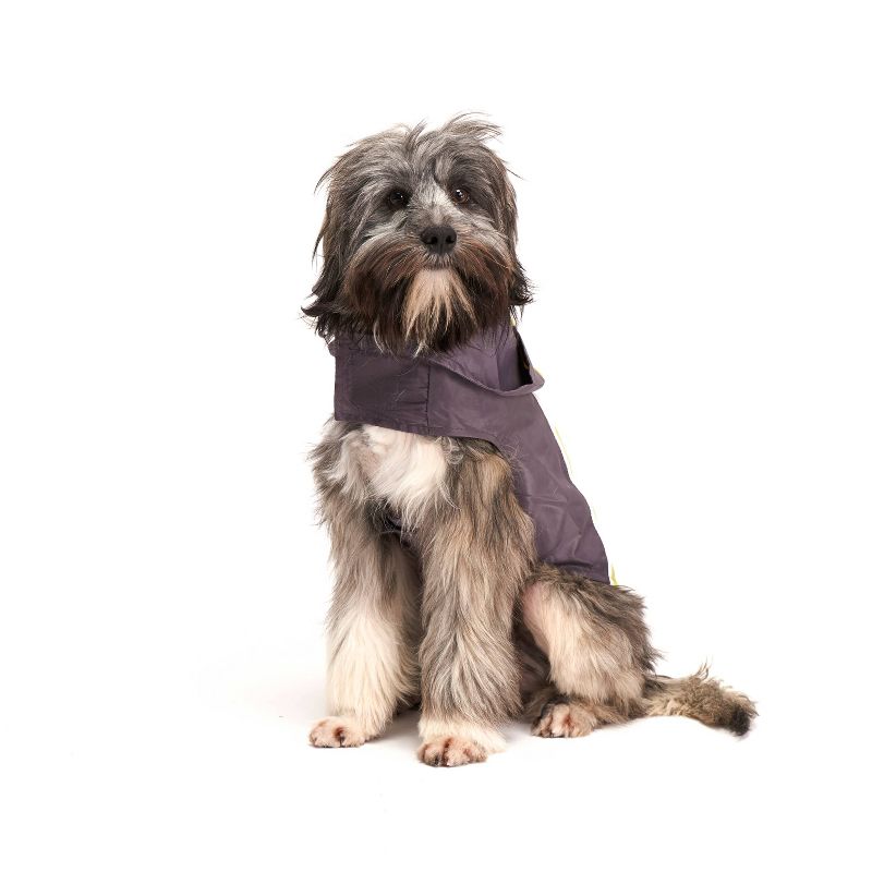 Royal Animals Dog Raincoat - Yellow - XS