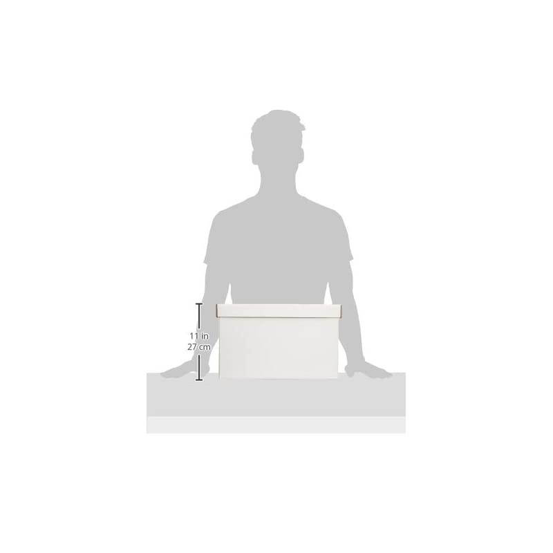 Basics Heavy Duty Storage Filing Box with Lift-Off Lid - Pack of 12, Letter / Legal Size