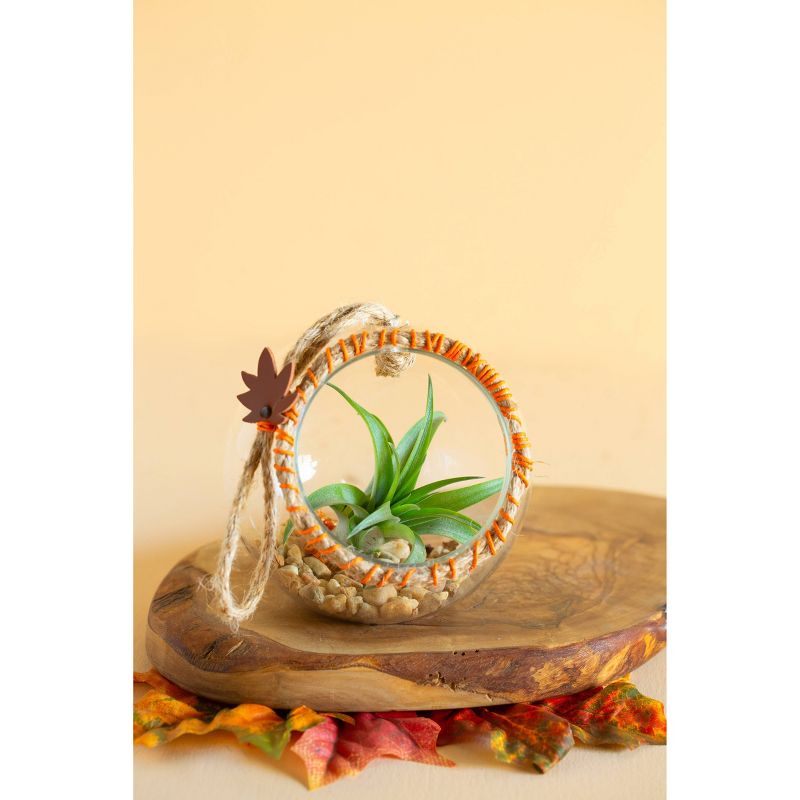 LiveTrends Glass Rope DIY Kit