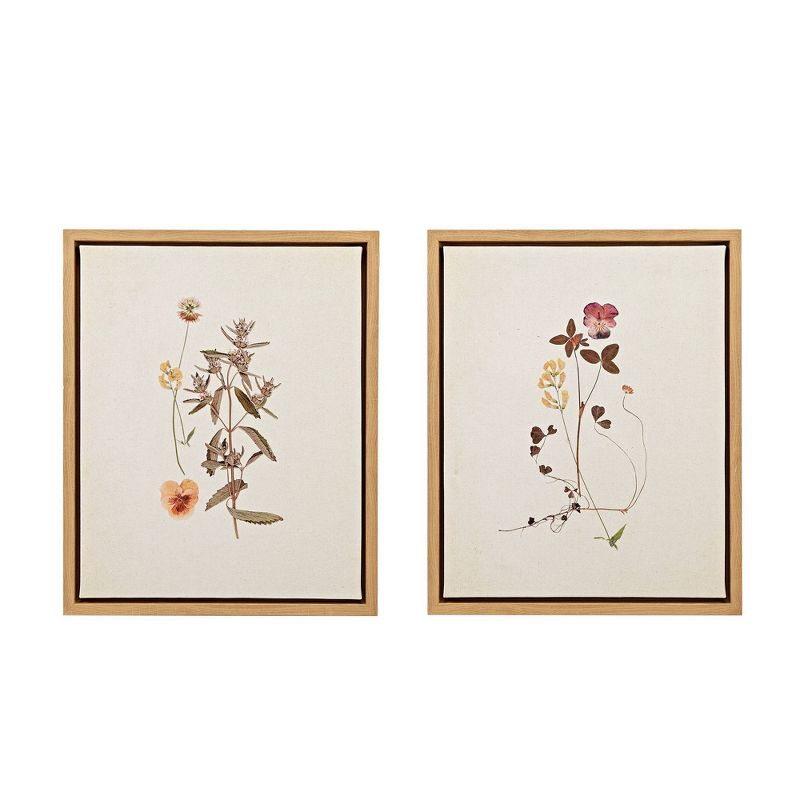 2pc French Herbarium Framed Linen Canvas - Martha Stewart