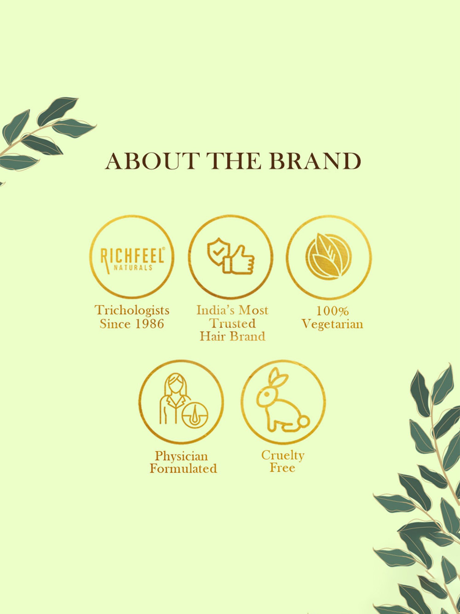 Richfeel Brahmi Intensive Repair Hair Pack - Pack of 3