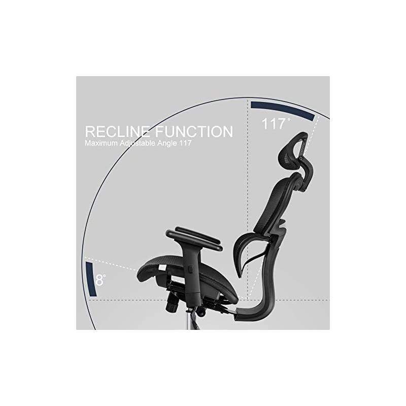 Chair, Ergonomics Mesh Chair Computer Chair Desk Chair High Back Chair w/Adjustable Headrest and Armrest