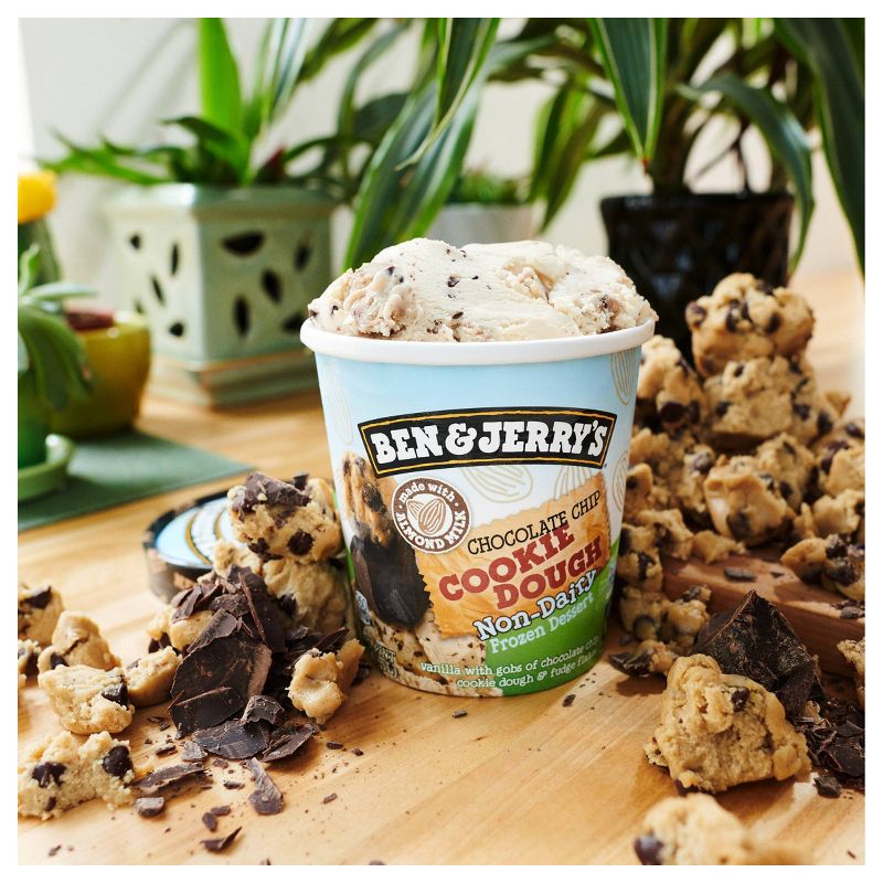 Ben & Jerry's Non-Dairy Ice Cream Chocolate Chip Cookie Dough Frozen Dessert - 16oz