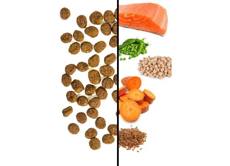 I and Love and You Naked Essentials Salmon and Trout Dry Cat Food - 11lbs