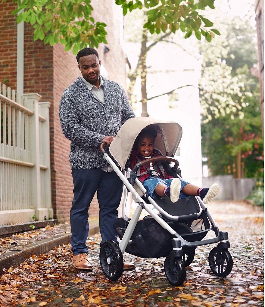 VISTA V2 Convertible Standard Stroller with Bassinet