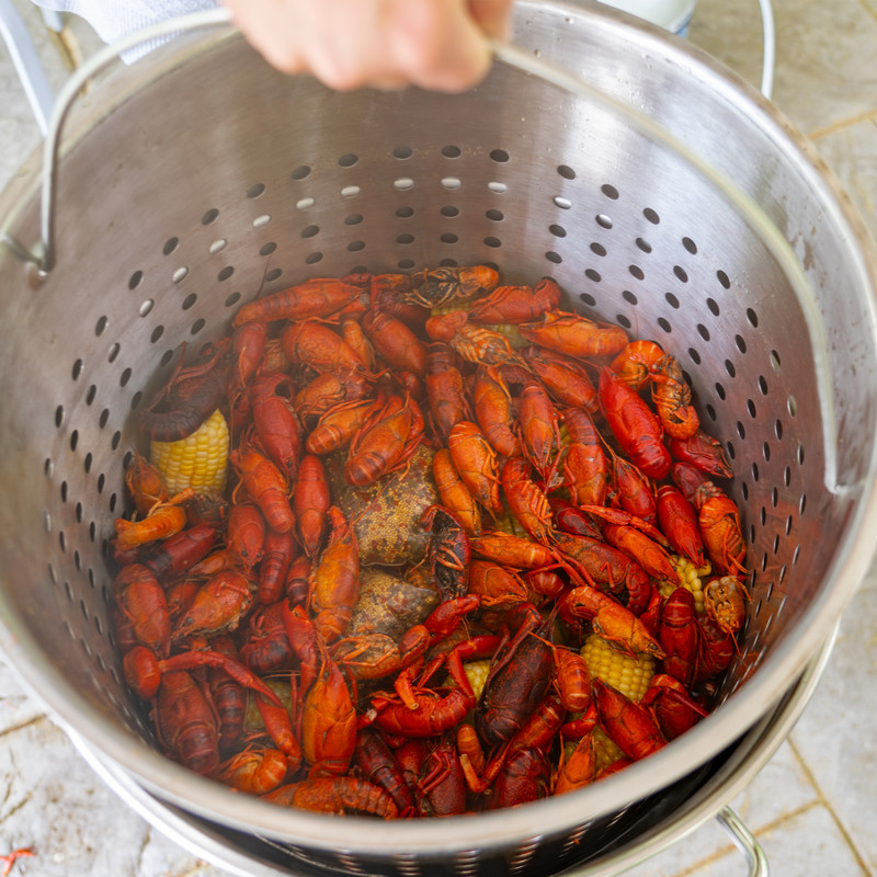 Anolon Nouvelle Copper Stainless Steel 11-Piece Cookware Set