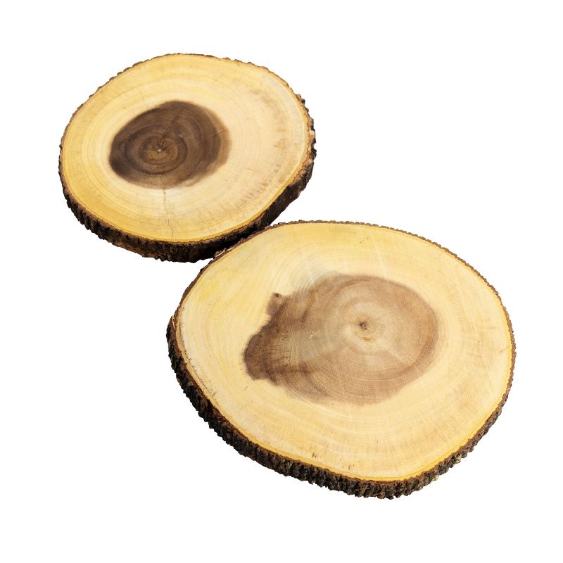 Gibson Home B. Smith 2 Piece 8 Inch Small Stump Acacia Wood Server in Brown