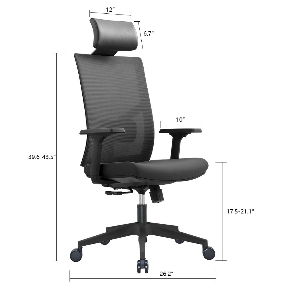 Ergonomic Multi Function Mesh Office Chair with Lumbar Support, Adjustable Armrest (Without Headrest, Black)