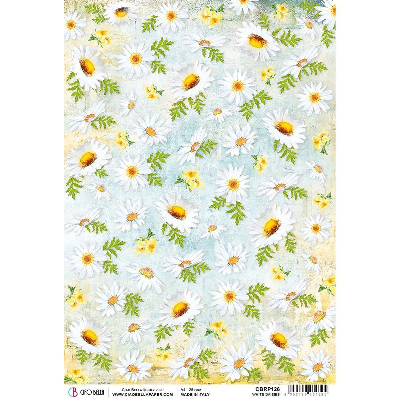 Ciao Bella Rice Paper Sheet A4 5/Pkg-White Daisies, Microcosmos