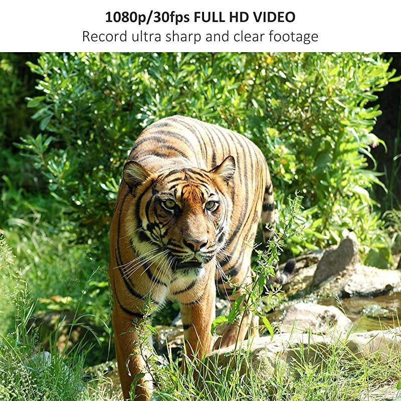 Trail Game Camera 16MP 1080p 30fps FHD Waterproof IP67 Wildlife Scouting Hunting Cam with 940nm 48Pcs No Glow IR LEDs Motion Activated Night Vision 24quot LCD