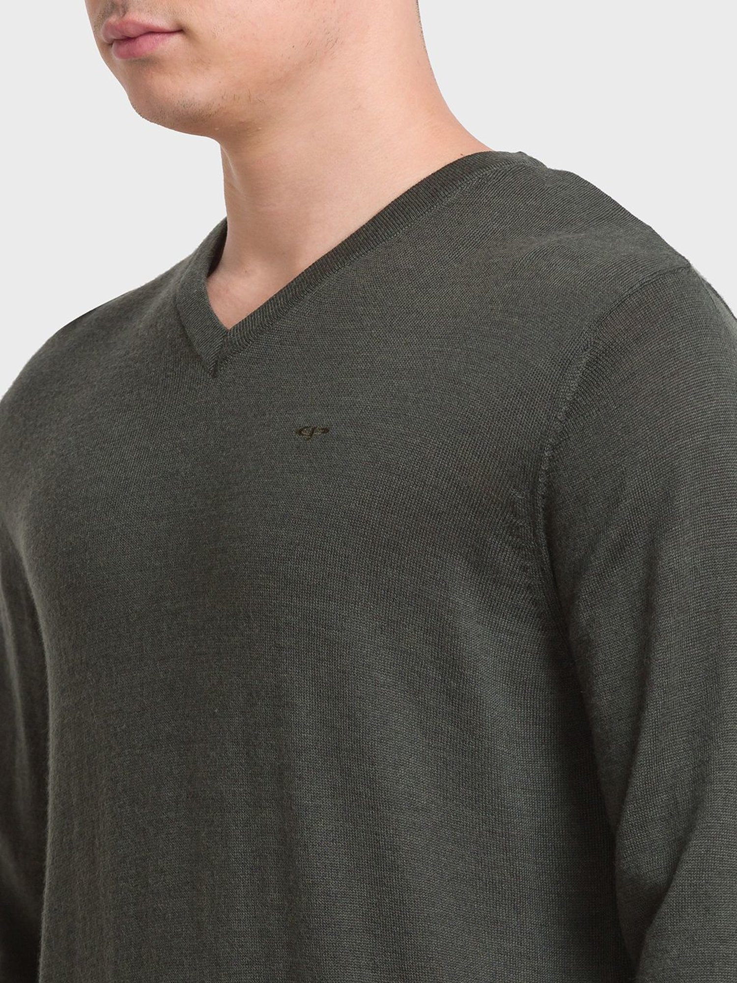 ColorPlus Green Tailored Fit Sweaters