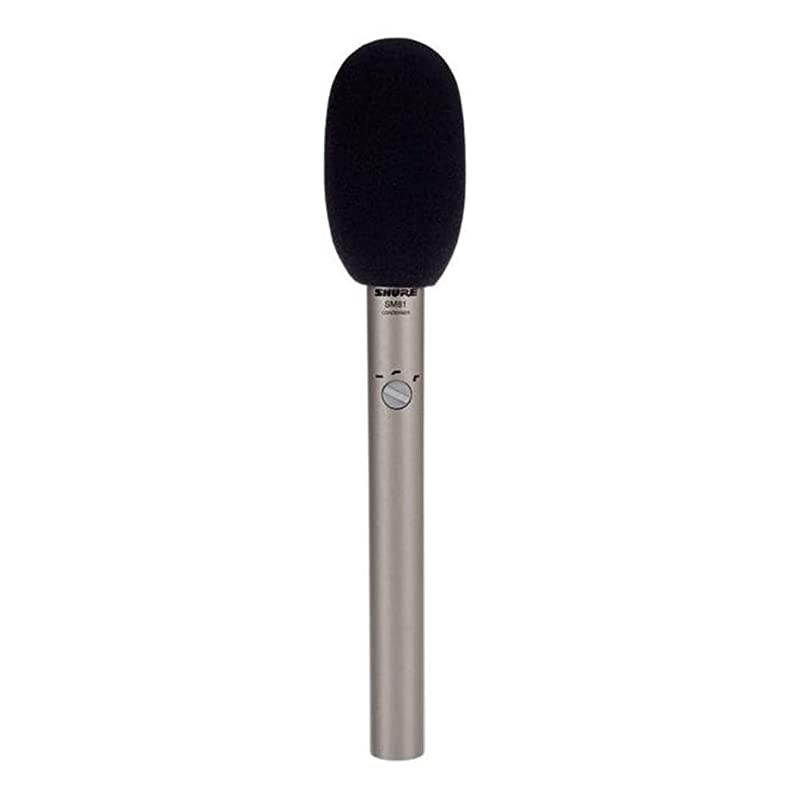 SM81-LC Cardioid Condenser Instrument Microphone