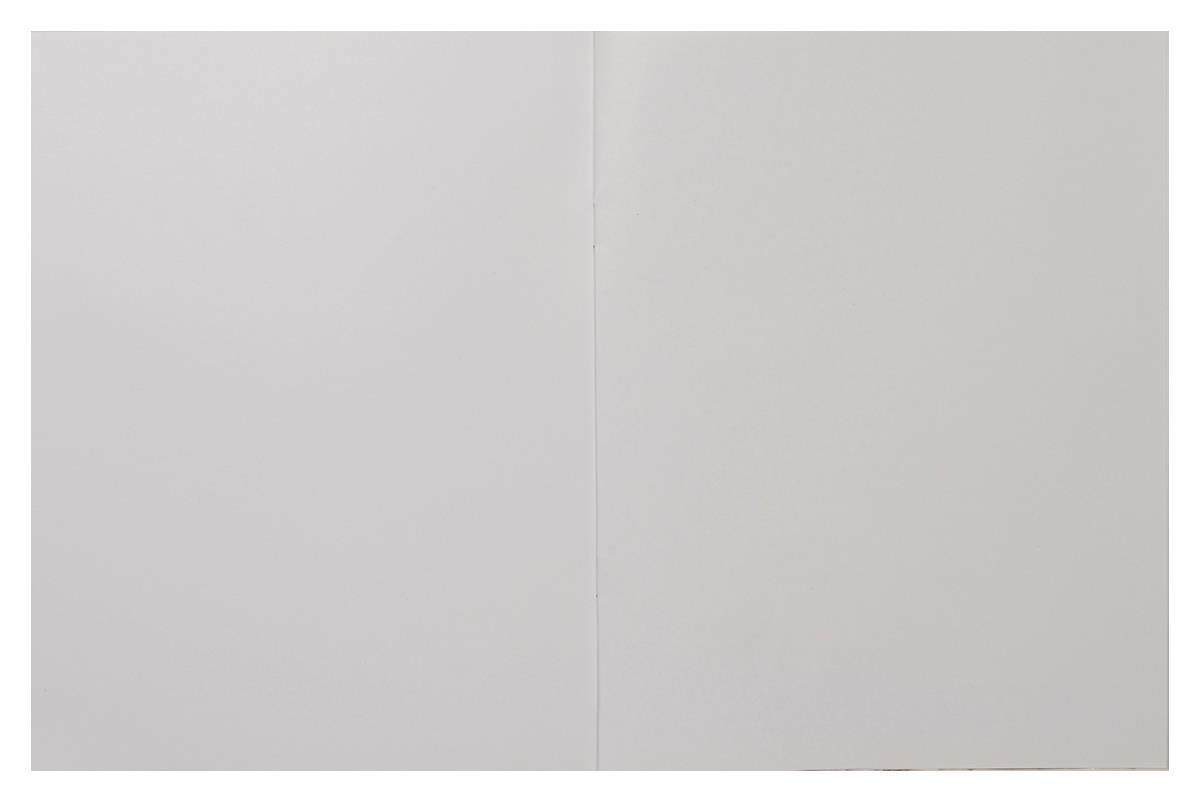 Rhino Exercise Book, 9 x 7 Inches, 48 page, Blank pages, Pink Cover (Pack of 10)