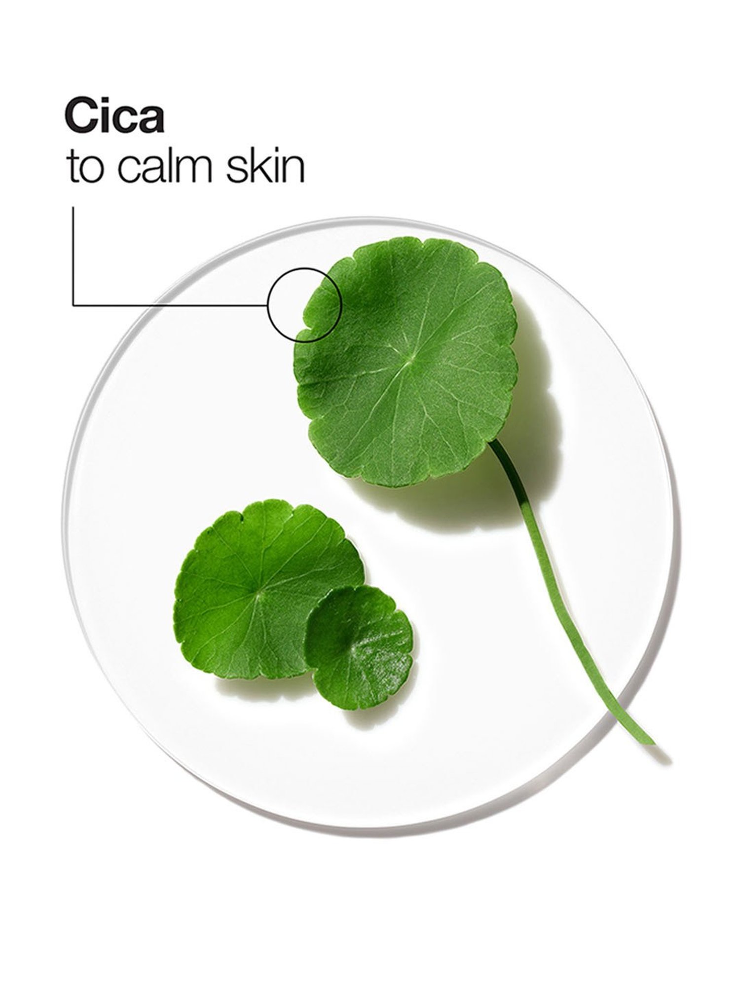 Lotus Herbals Probrite Illuminating Radiance Creme -50 gm