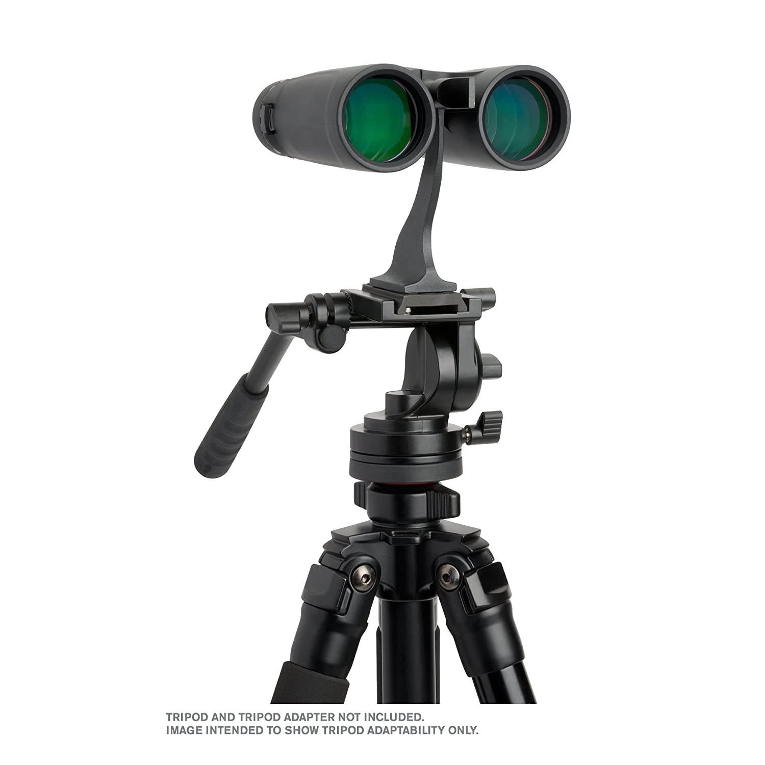 Celestron &ndash; Outland X 10x42 Binoculars &ndash; Waterproof & Fogproof &ndash; Binoculars for Adults &ndash; Multi-Coated Optics and BaK-4 Prisms &ndash; Protective Rubber Armoring