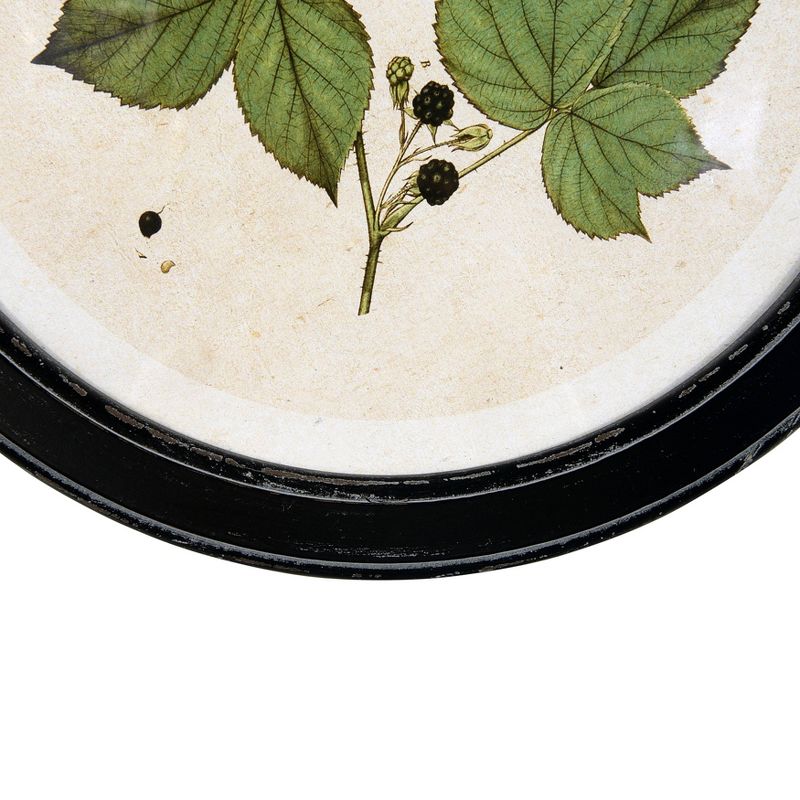 (Set of 4) 13.75" Wood Framed Wall Art Sets with Vintage Reproduction Botanical Print - 3R Studios